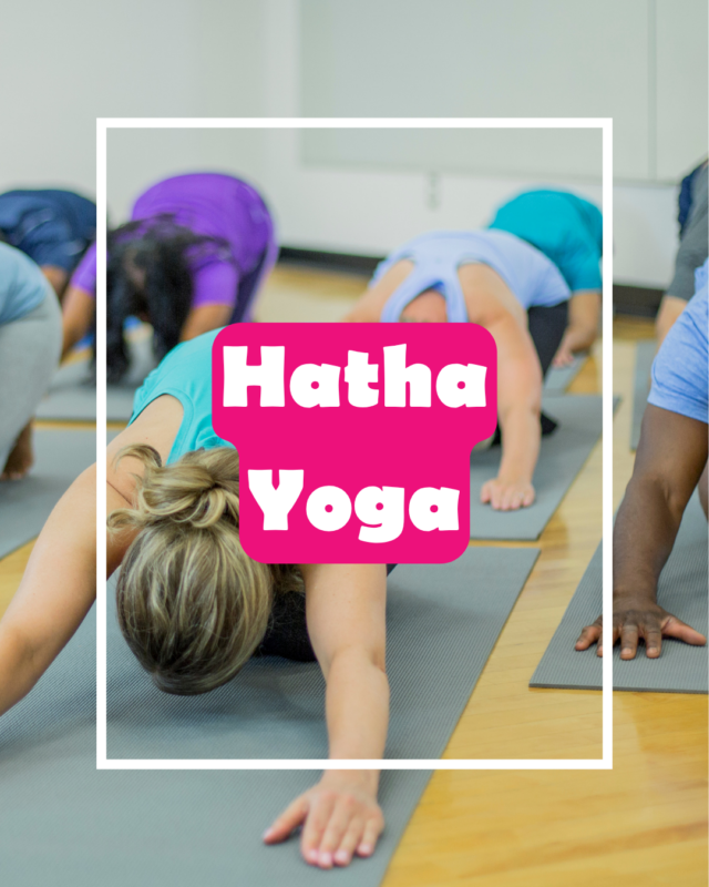 hatha yoga img