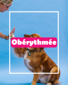 obérytthmée img