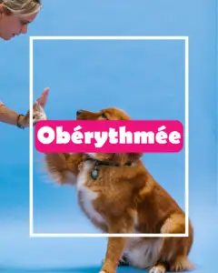 obérytthmée img