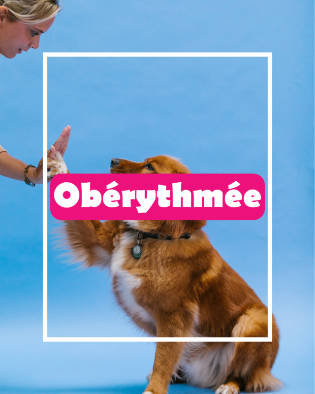 obérytthmée img