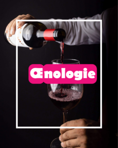 Activités adultes 2026-2027 oenologie img