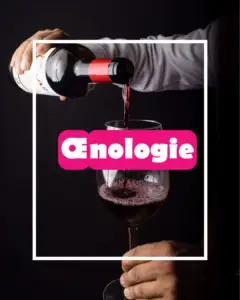 oenologie img