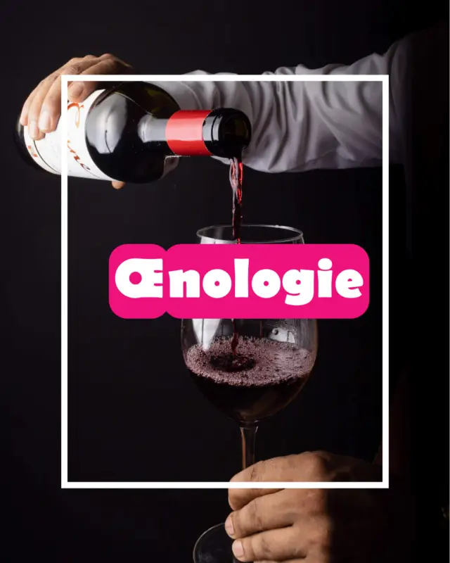 oenologie img